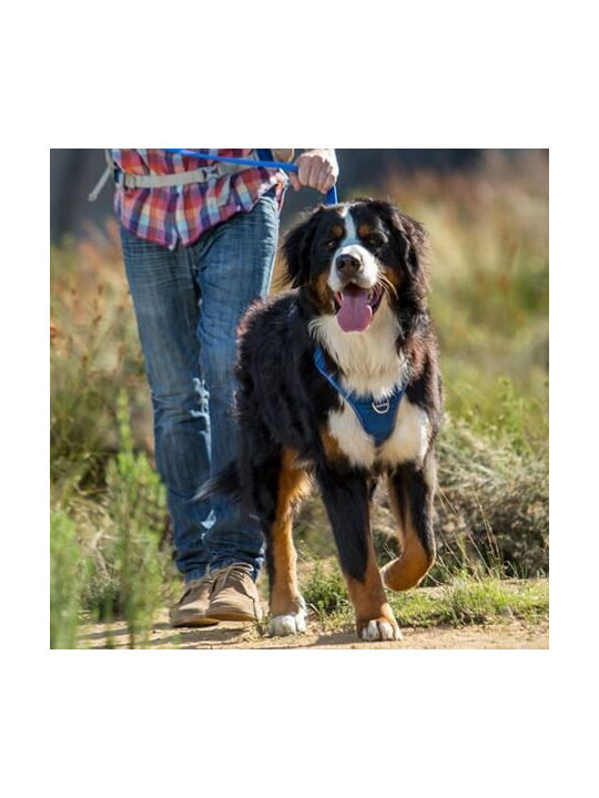 Rogz Σαμαράκι Σκύλου Explore Harness Πράσινο Small / Medium / Large / X-Large RGSJX14H