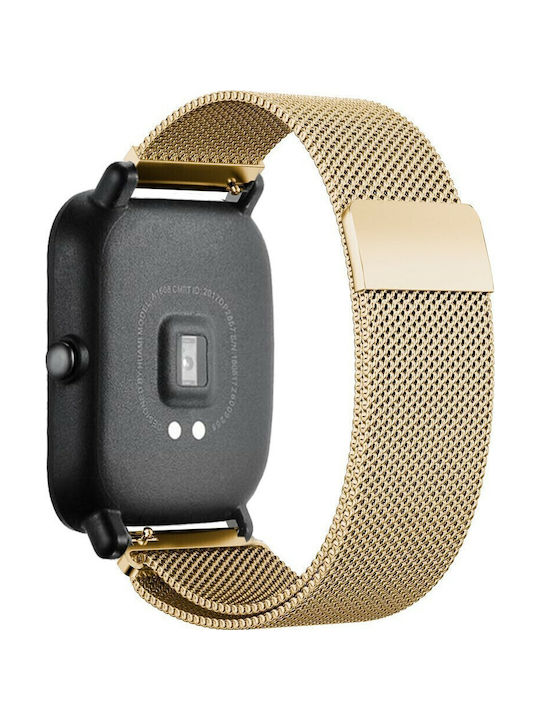 Steel Strap Stainless Steel Gold (Amazfit GTS 2e)