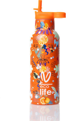 Ecolife Kids Water Bottle Thermos Ice 500ml