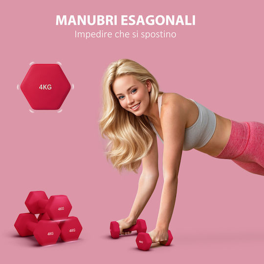 Sportnow Hanteln Sechseck 1 x 4kg