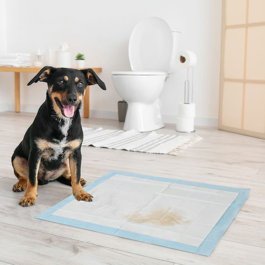 Pawhut Pampers pentru câini 60x60cm 80buc