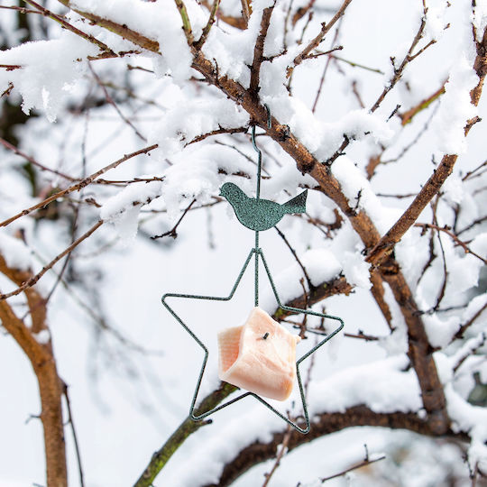Kadax Hanging Feeder 30cm Bird Food
