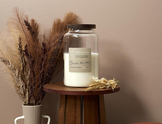 Scented Candle Home Deco Factory Burn Time 70 Hours Scent Wood Mist Dimensions 14x23.5cm 3664944613725 Scented Candle Home Deco Factory Burn Time 70 Hours Scent Wood Mist Dimensions 14x23.5cm 3664944613725