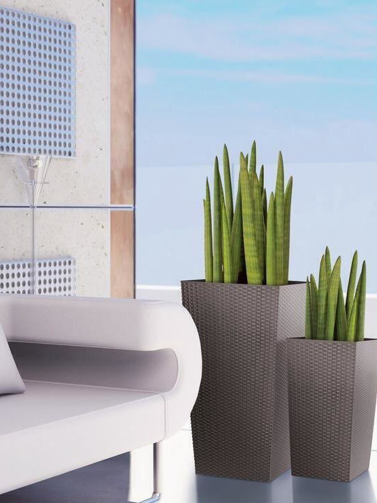 Prosperplast Vaze Pentru Plante Rattan Maro 32.5x32.5x61cm 2 Bucăți