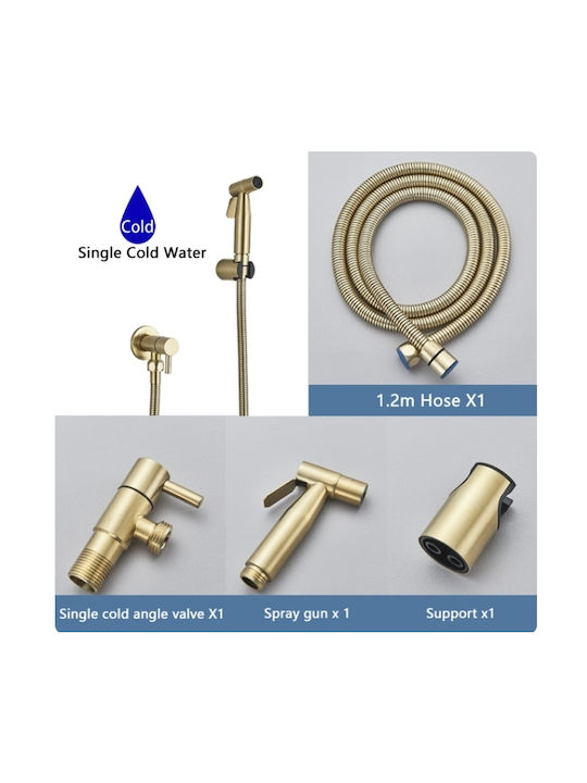 Set Bidet Auriu
