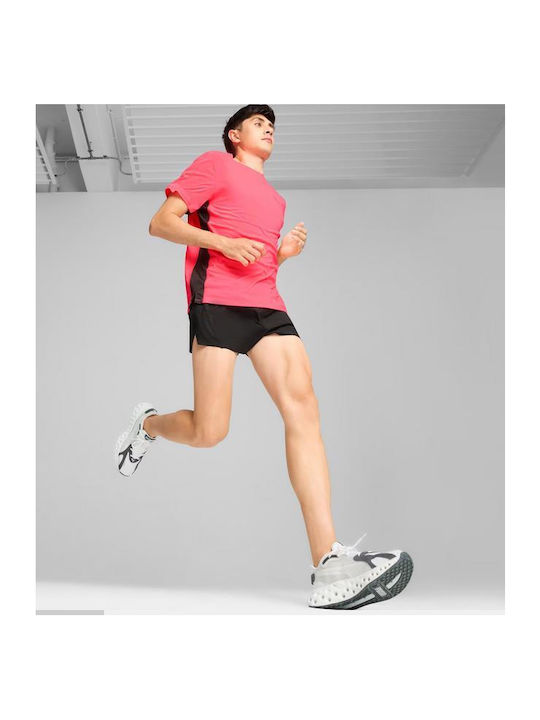 Softride Frequence Sport Shoes Running White - Feather Gray