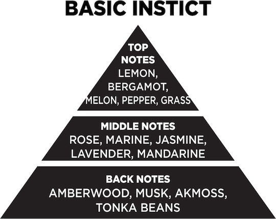 Themagio Αρωματικό Κερί Σόγιας Basic Instict 500gr 77250