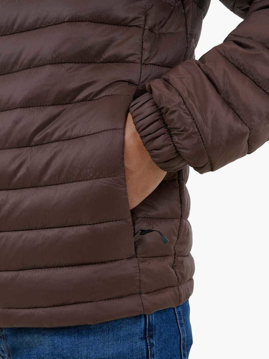 Axis Peak Winter Jacket Bomber Waterproof Brown