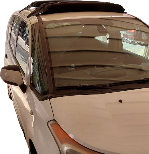 HandiWorld für Citroen C3 Picasso / C3 Chevrolet C3 Picasso 2012-2016 (ohne Beine)