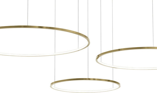 Eko Light Hängelampe Gold