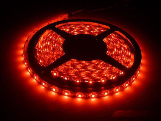 Red LED Strip 60xLED 12V Length 1m