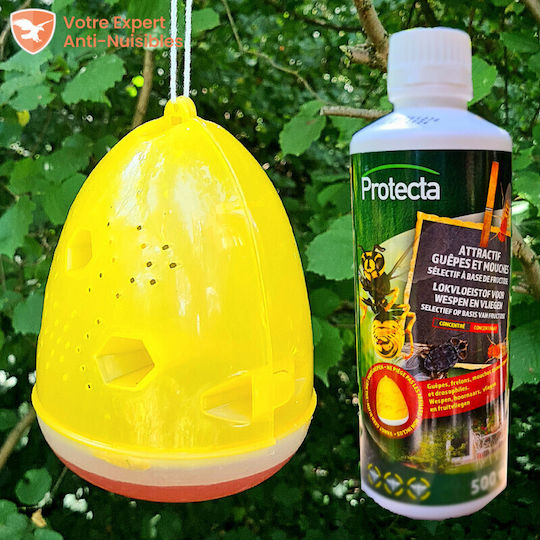 Protecta Υγρό για Σφήκες / Μύγες 500ml