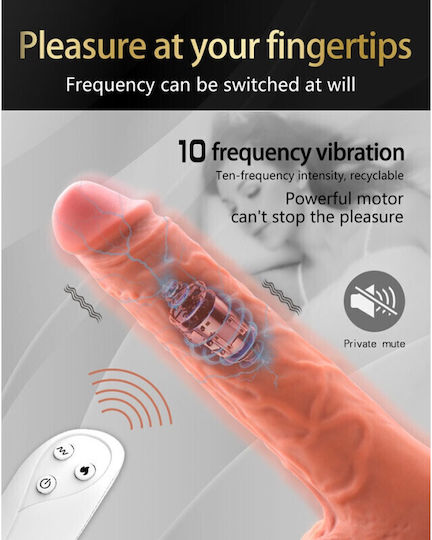 Thrusting Multi Functional Expandable Realistic Vibrator 6.5 Inch