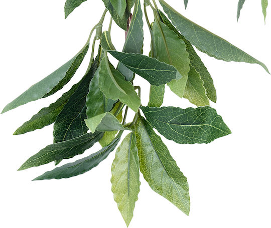 Globostar Künstlicher Garten Laurus Nobilis Zweig 20225 10 x Künstliche Dekorative Lorbeerzweige W45 x H60cm