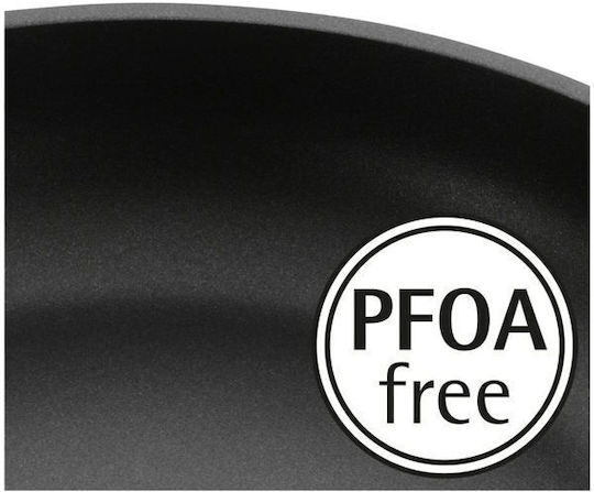 Wmf Frying Pan 28 Cm Steak Profi