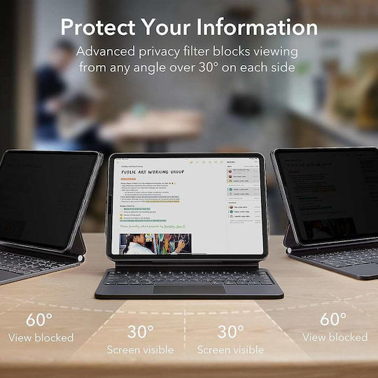 ESR Privacy (iPad Air 2024 11")
