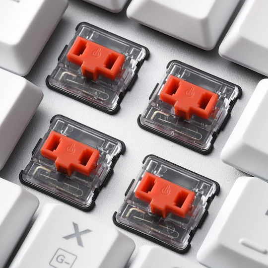 Sharkoon PureWriter RGB Gaming Mechanical Keyboard with Kailh Red switches and RGB lighting (English US) White