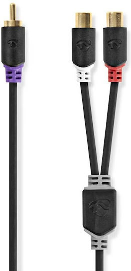 Nedis Cable RCA female - RCA male 0.2m CABW24010AT02