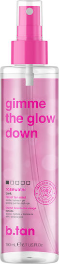 B.Tan Gimme The Glow Down + Glove Автобронзант Спрей За Лице Тъмно 190мл