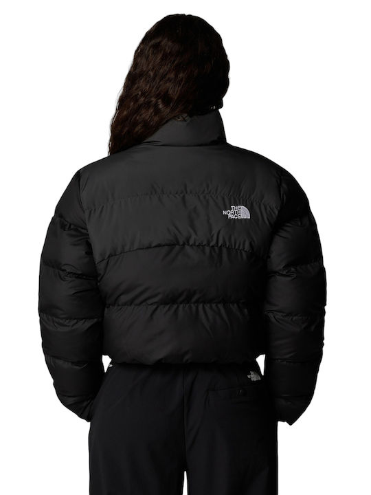 The North Face The North Face