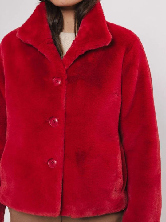 Women's Short Lifestyle Jacket for Winter Red Berry