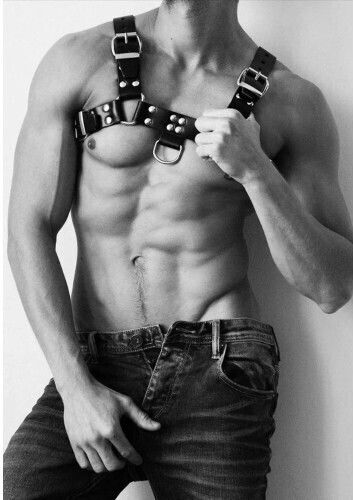 Naughty Toys Ανδρικό Harness Μαύρο