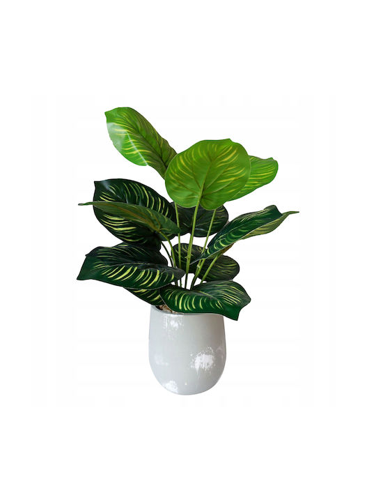 Plantă Artificială în Ghiveci Mic Calathea 37cm