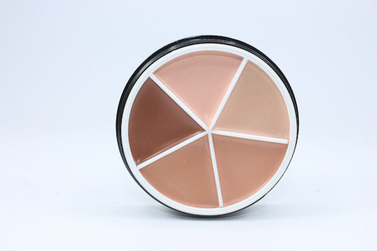 Concealer Romantic Beauty Color Correcting Contour 02 Concealer Palette 02