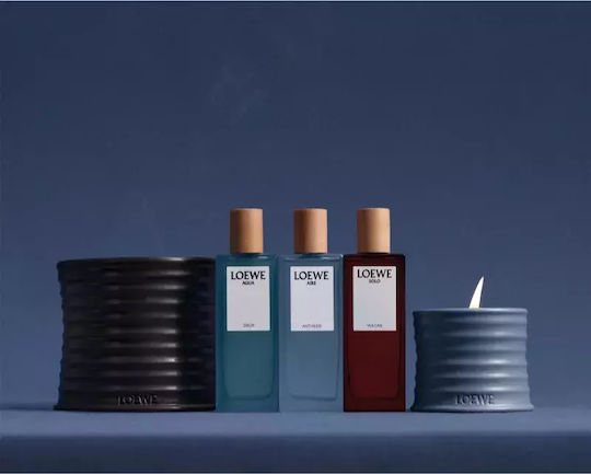 Loewe Agua Eau de Parfum 100ml