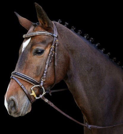 Kerbl Brown Leather Bridle English Soft Padding on Forehead Noseband Neck Bridle Kingston Engl Combi Model Full Kerbl 4018653957004