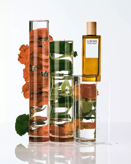 Loewe Pour Homme Eau De Toilette Men Capacity Ml 50