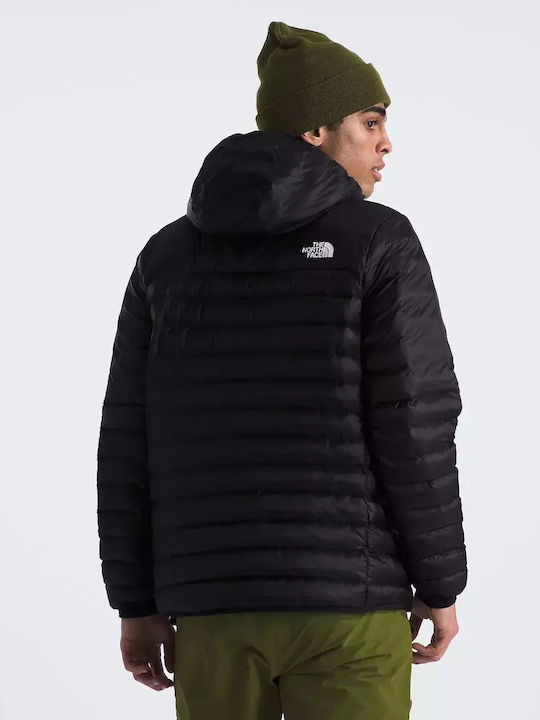 The North Face Herren Jacke Puffer Schwarz