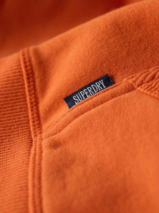 D1 Ovin Sweatshirt with Hood Brown