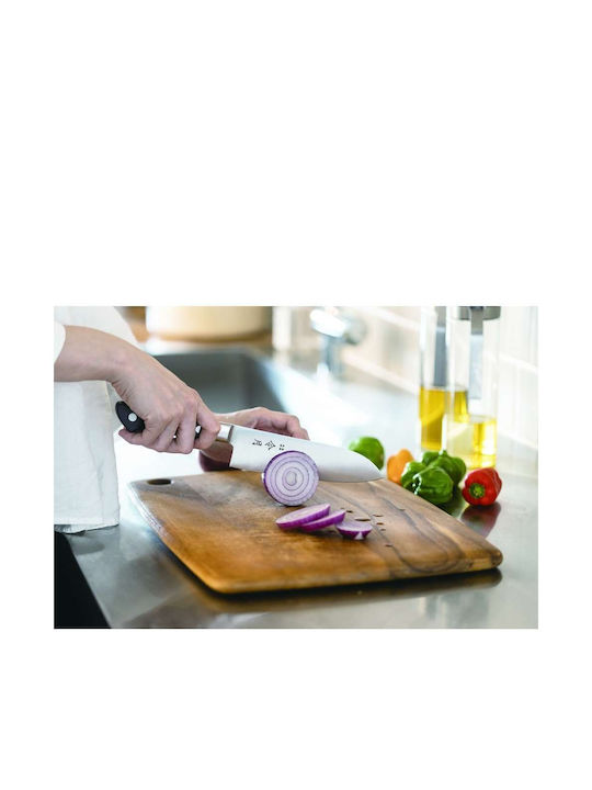 Fuji Reigetsu Messer Fleisch aus rostfreiem Stahl 24cm
