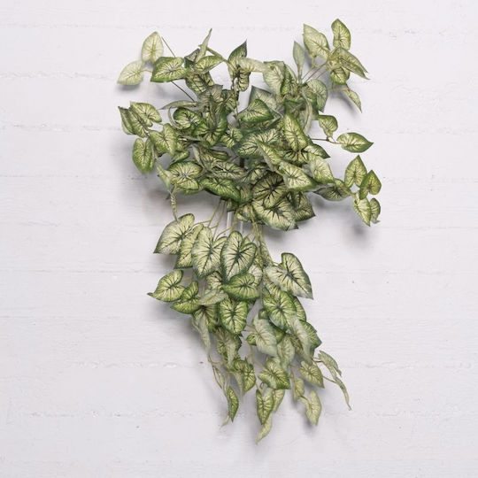 Boston Κισσός 68cm Supergreens