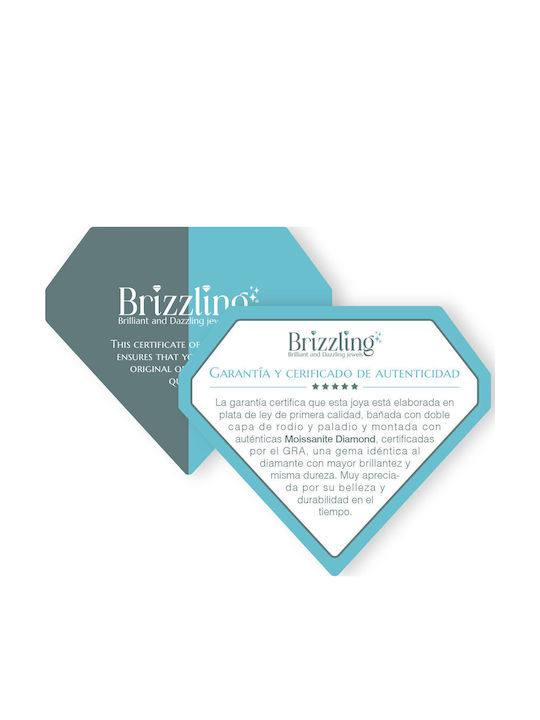 Brizzling Σκουλαρίκια από Ασήμι