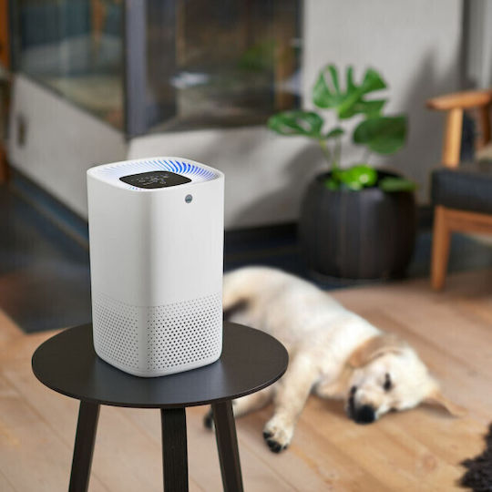 Wilfa Umidificator - Ionizator 42W Pentru Spații 18m²