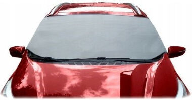 Covoraș de Protecție Parbriz cu Izolație Termică Carpassion 145x175x95 Cm
