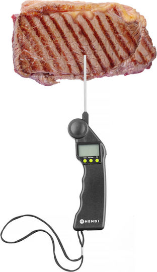 Digital Culinary Thermometer Probe 50-300c
