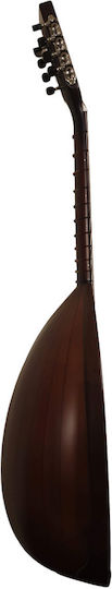 Lute