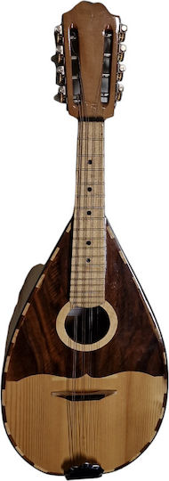 Acoustic Mandolin