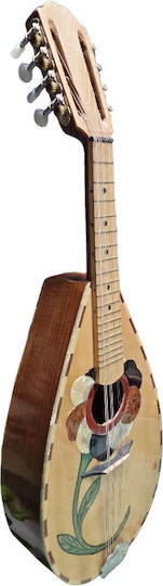 Acoustic Mandolin