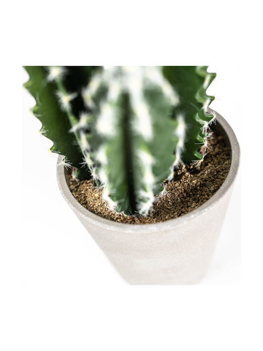 Artificial Plant in Pot Cactus Euphorbia Caerulescens Green 50cm Supergreens