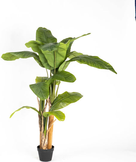 Künstlicher Baum für den Außenbereich Musa Grün 160cm Supergreens