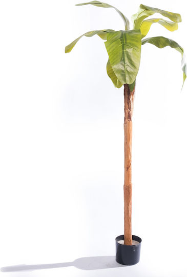 Plantă Artificială în Ghiveci Musa Brad Green 160cm Supergreens