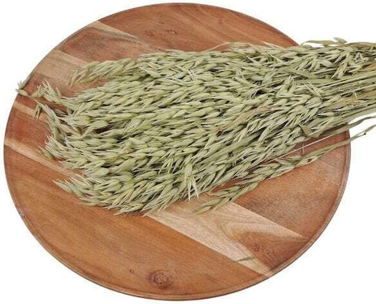 Dried Beige Plant HBX DECO B.V.