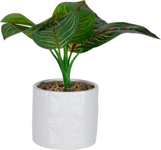 Artificial Potted Plant Various Designs Koopman