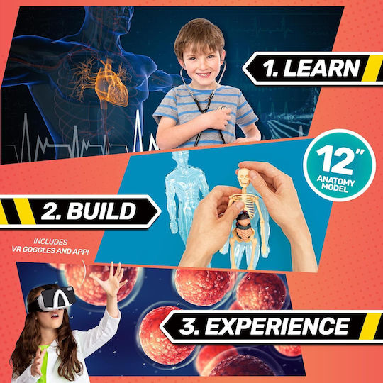 Human Body STEM Laboratory for 8-12 Years Old