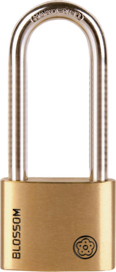 Blossom Bronze Padlock Lengthened with Key 1pcs