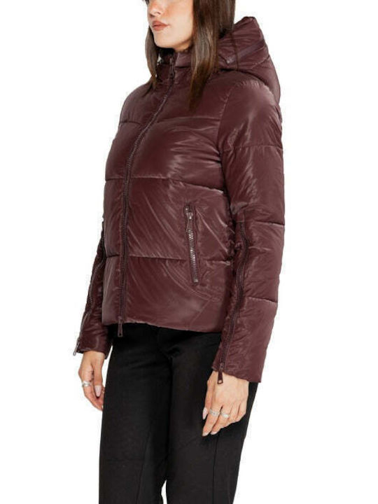 Clera Women's Long Lifestyle Jacket for Winter Purple